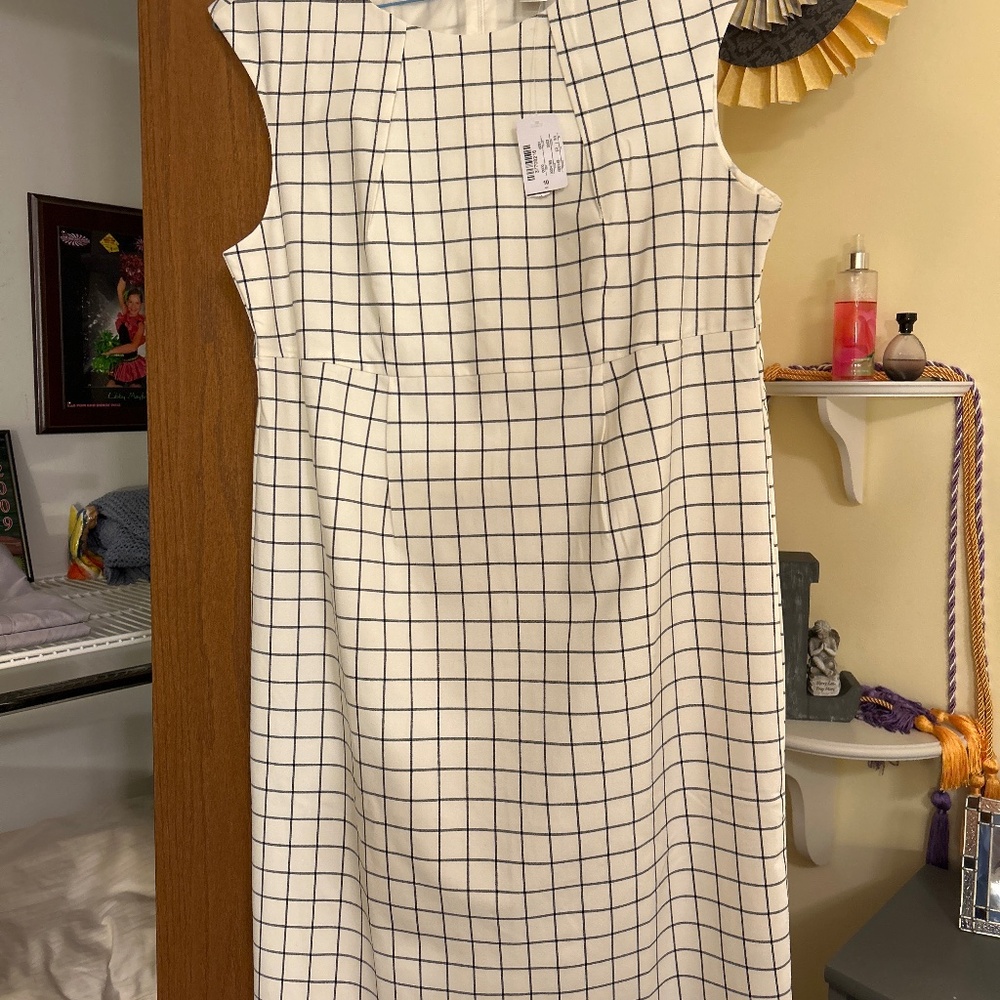 Princess waisted sheath dress
